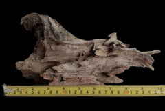 EcoDriftwood