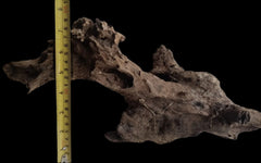 EcoDriftwood