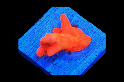 SDC Orange Setosa Monti Cult