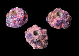 EcoRock Frag Plug Holder