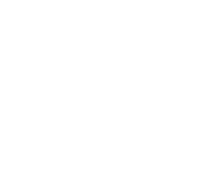 Shedd Aquarium